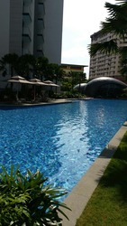 Bartley Ridge (D13), Condominium #174372352